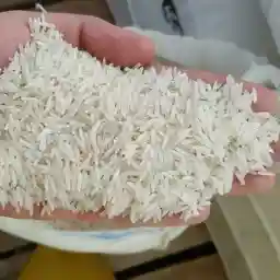 https://shp.aradbranding.com/قیمت برنج هاشمی معطر با کیفیت ارزان + خرید عمده